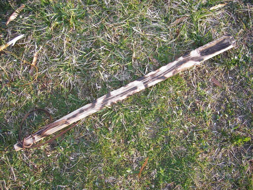 IMGP0679.jpg