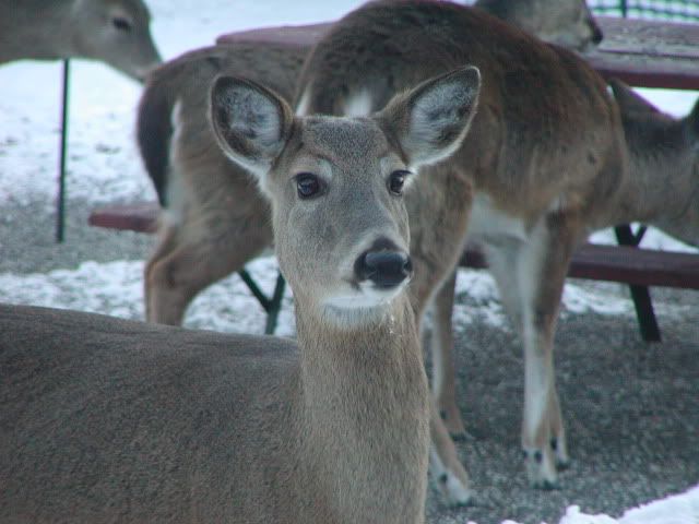 P201010-1.jpg