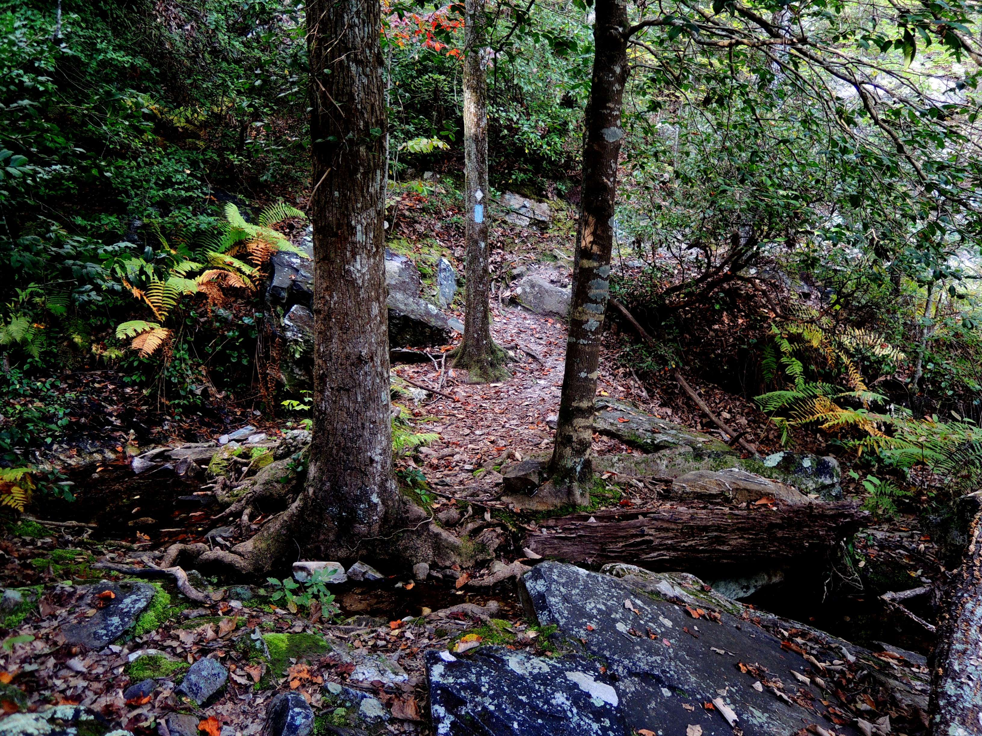 dscn2487u.jpg