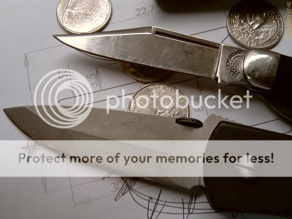 IMAG1267.jpg