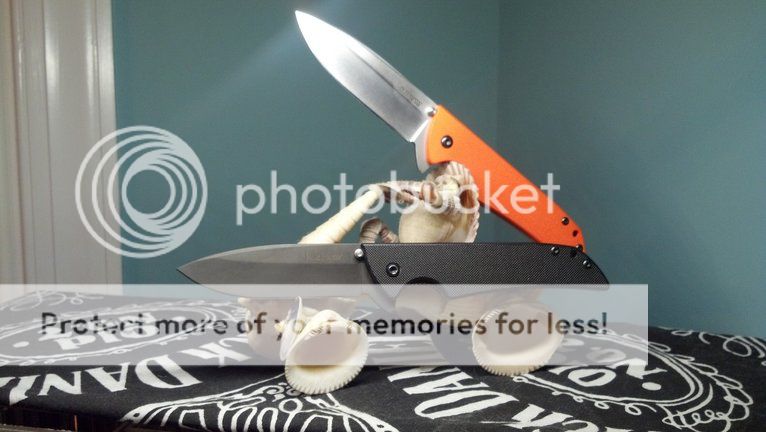 photobucket-6209-1359692419822_zpsd614801d.jpg