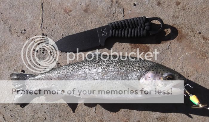 31012trout.jpg