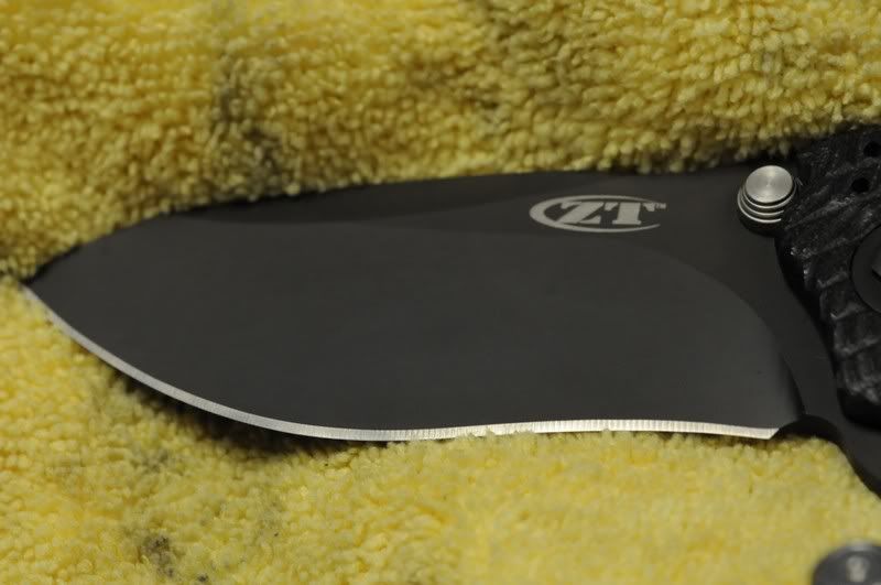 ZT00002.jpg