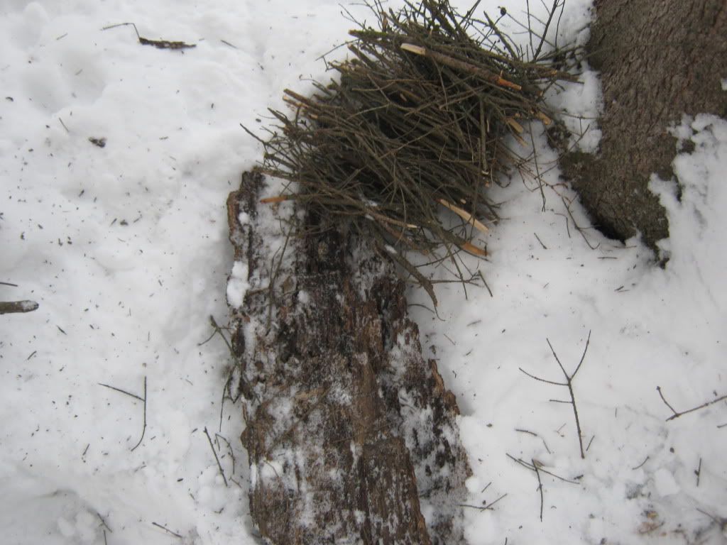 decemberbushcraft009.jpg