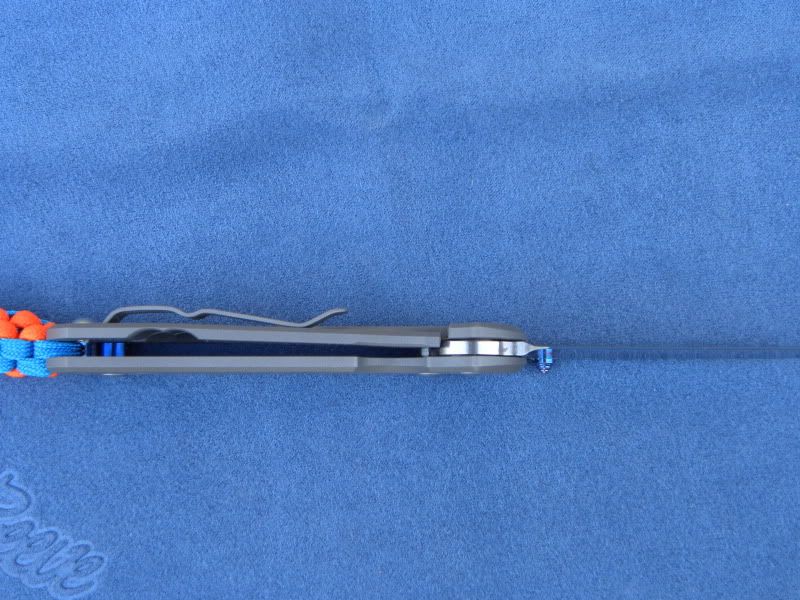 DSCN7533.jpg