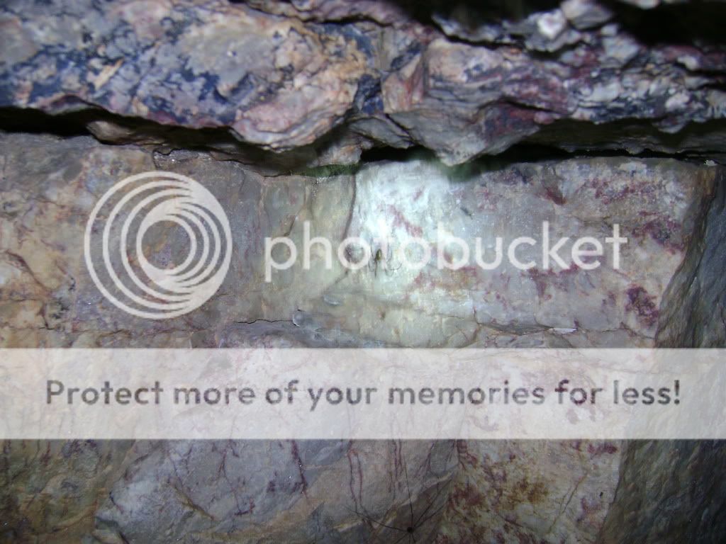 DSC06032.jpg