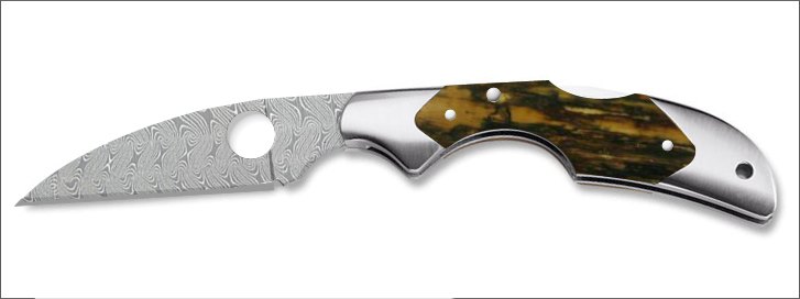 custom_kiwi.jpg