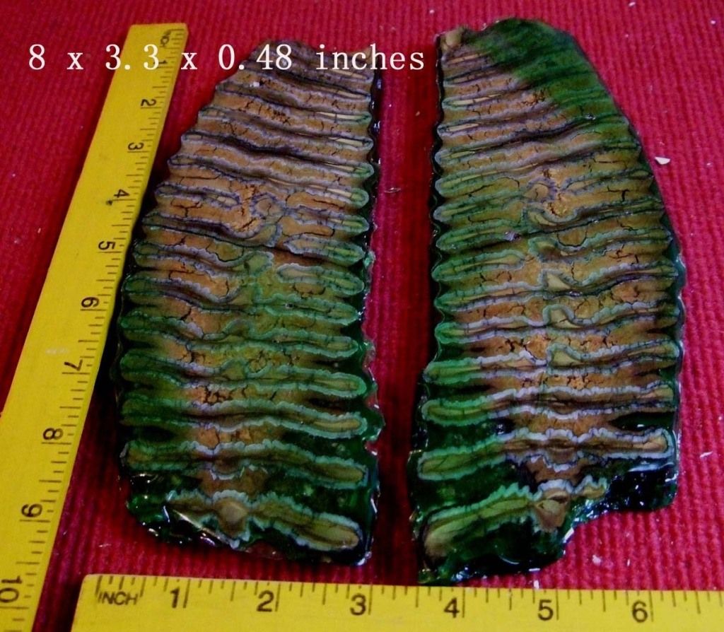 teeth2-1.jpg