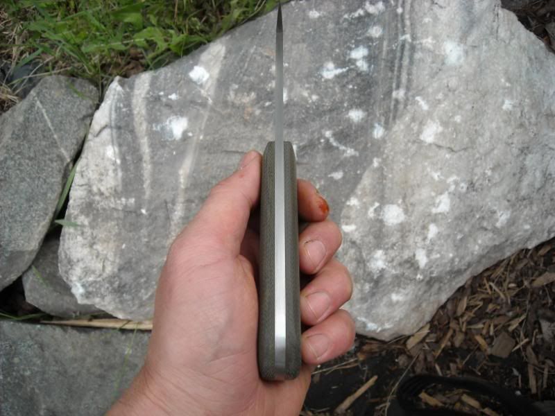 316sgreenhunter006.jpg