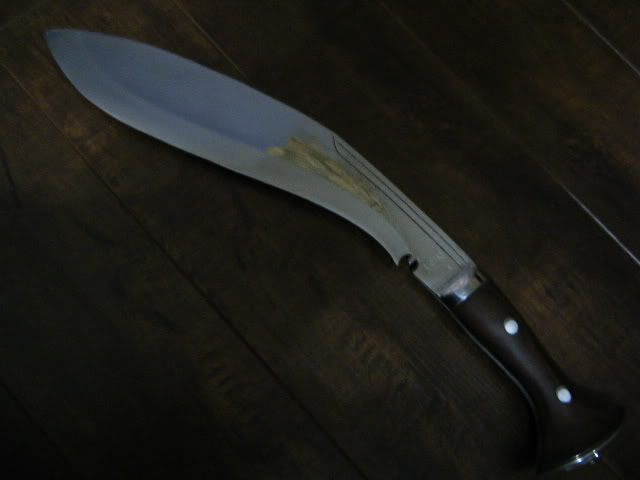 DSCF0808.jpg
