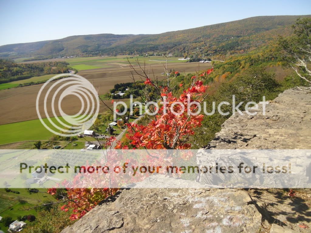 PICT0018-25.jpg