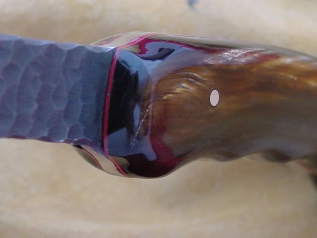 DSC00061.jpg