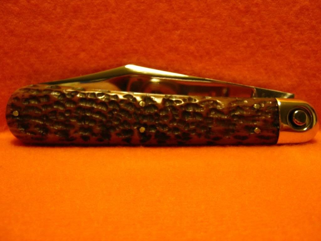 pic4.jpg