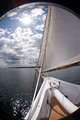 f7d74985.jpg