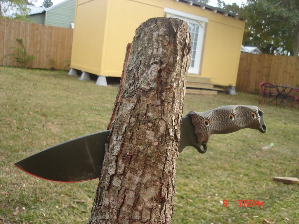 edc077.jpg