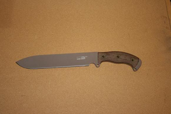 busse001.jpg