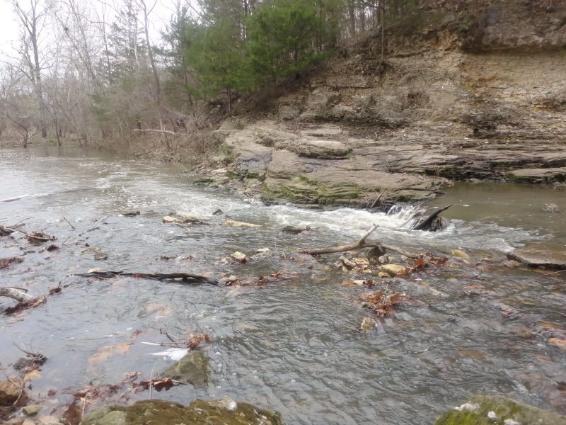 springfork007.jpg