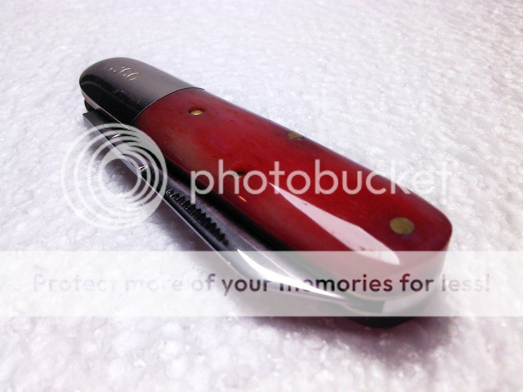IMG_20130927_151210_zpse3gq0vbp.jpg