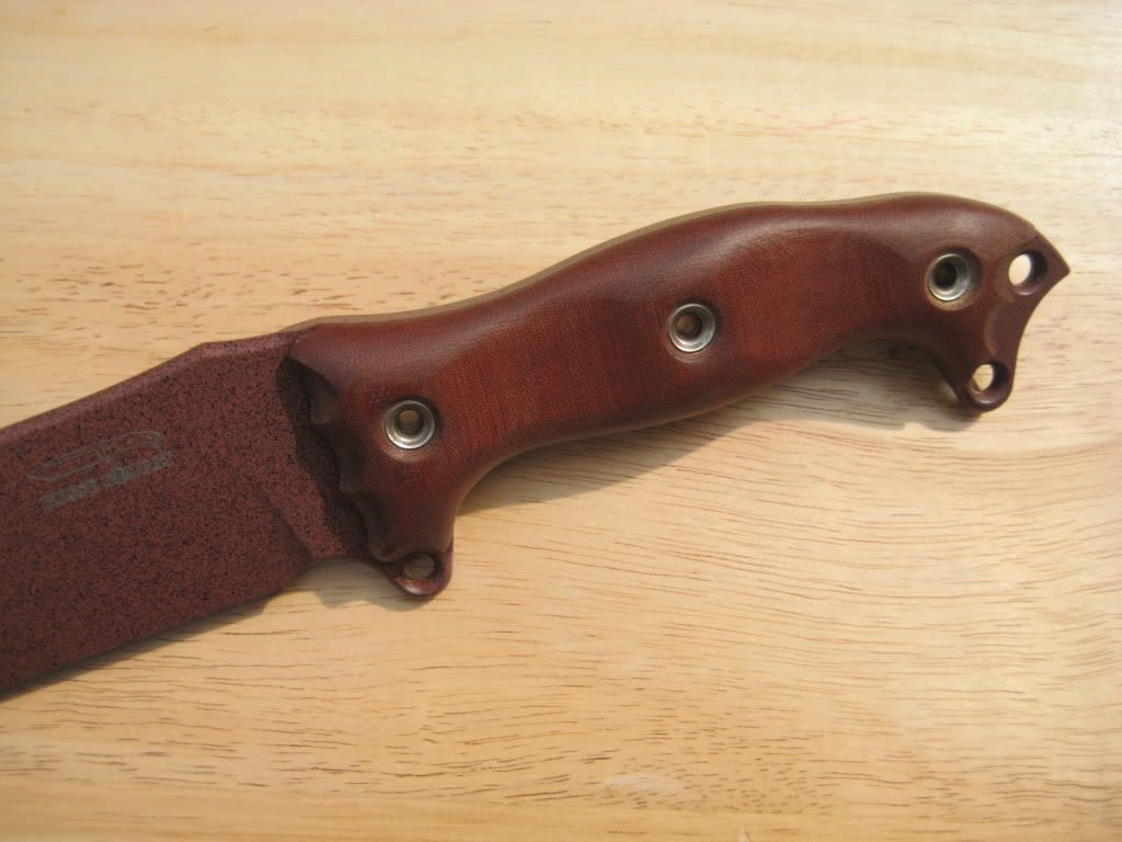 Busse-NMFBMBamaClayandbrownscalescl.jpg