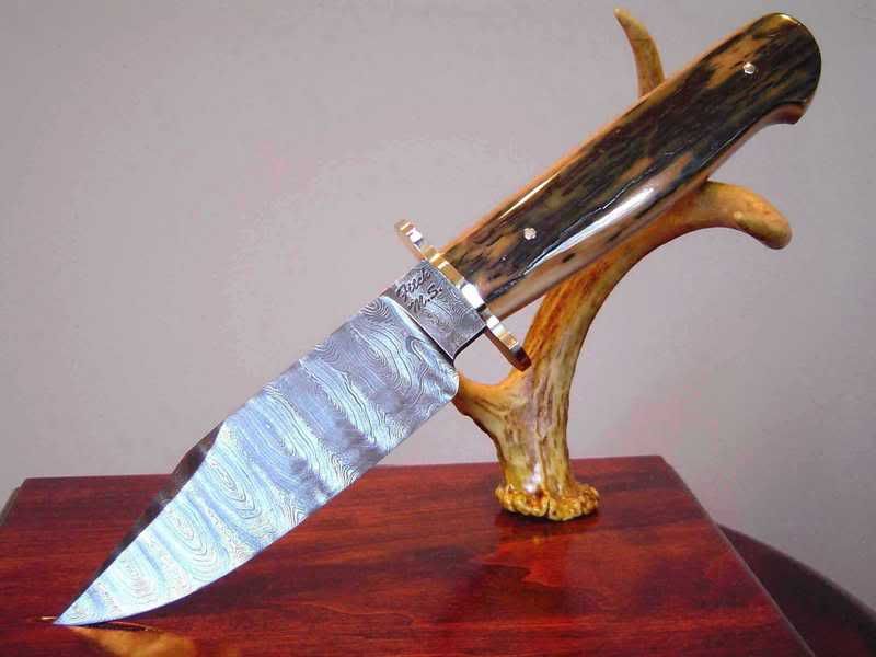 JOHNFITCHSmallDamaususBowie001.jpg
