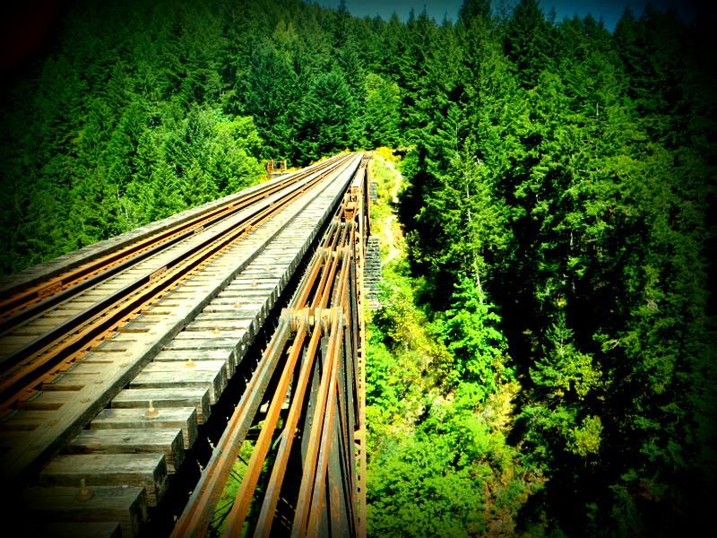 Goldstream2012010.jpg