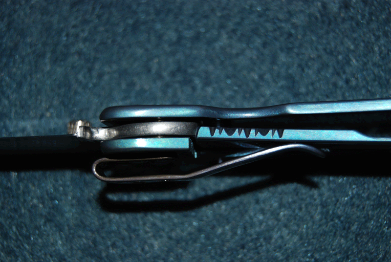ti-blue-edcpic6.gif