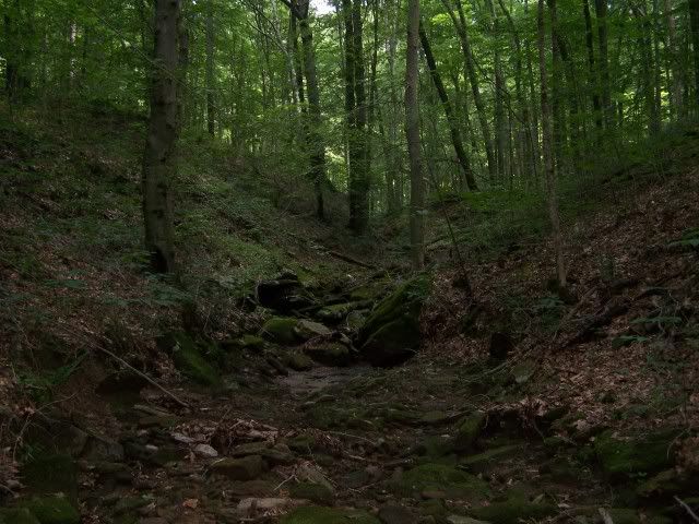100_4285_00.jpg