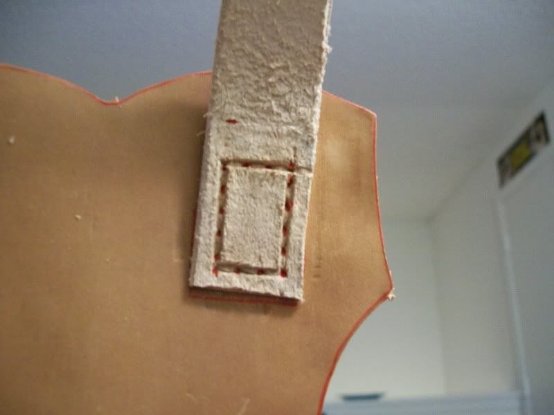 Sheath1009.jpg