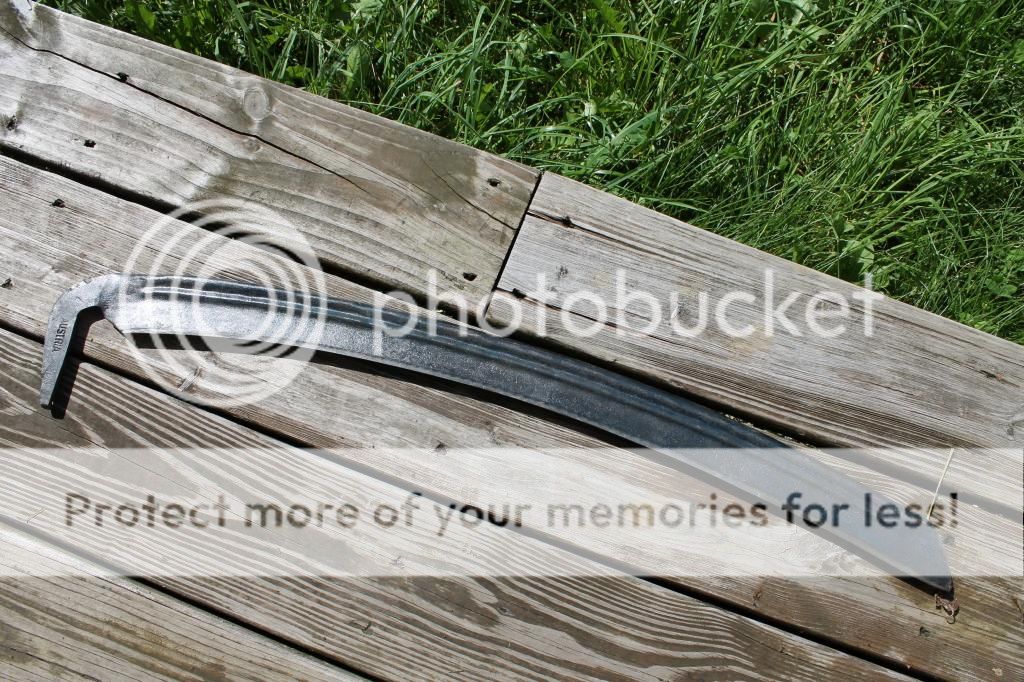 IMG_5191_zps176f96dc.jpg