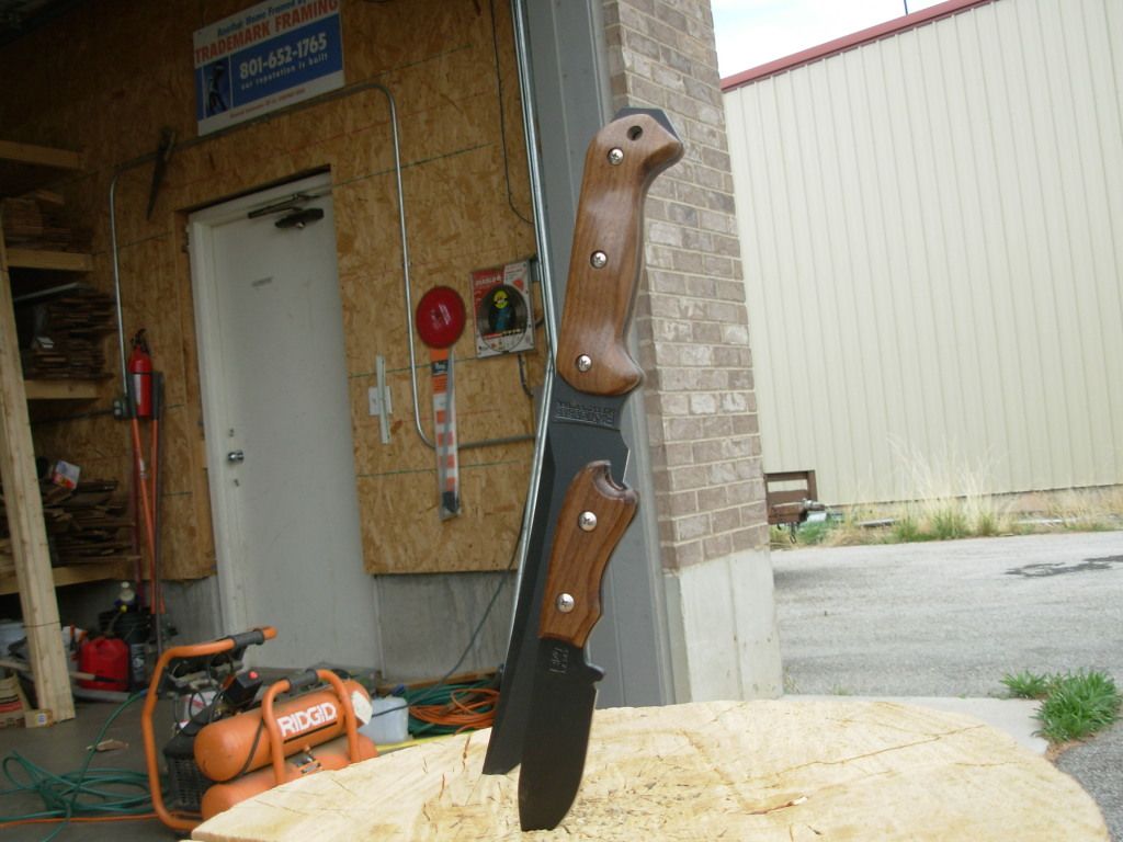 DSCN0919.jpg