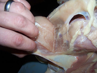 100_7930.JPG