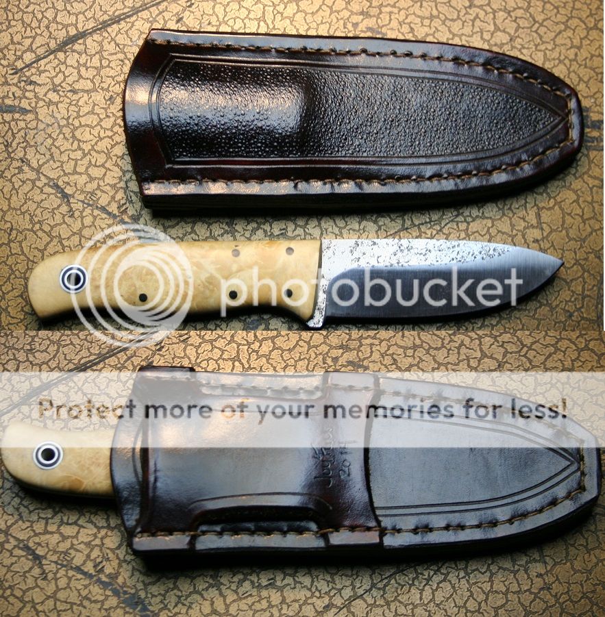 sheath_gaw_feb_2014.jpg