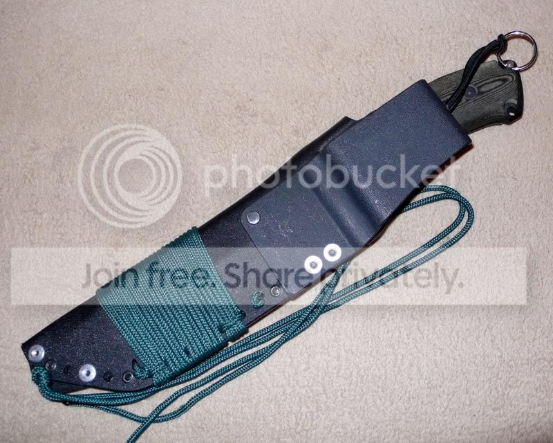 lgtopback.jpg