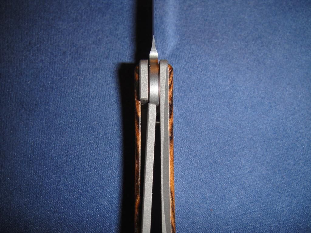 DSC00623.jpg