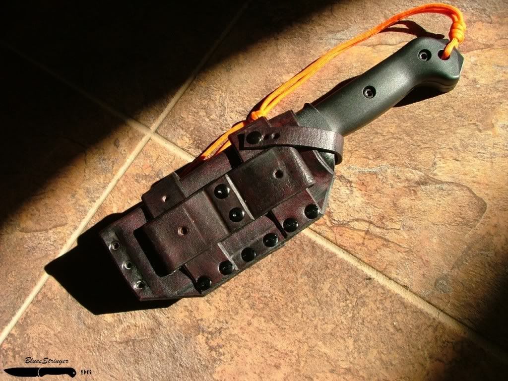 DSCF3668.jpg