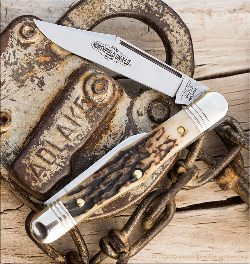 GEC33stag-3.jpg