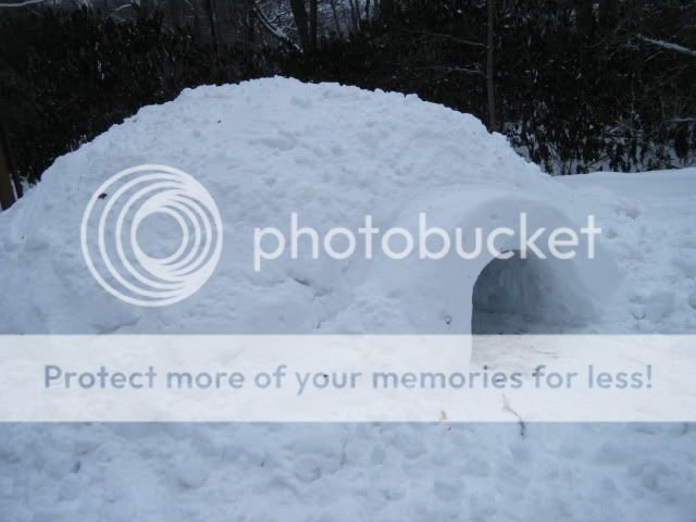 DSCF2595.jpg