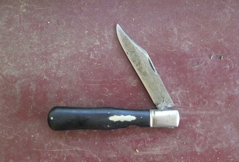 5MCrpur.jpg
