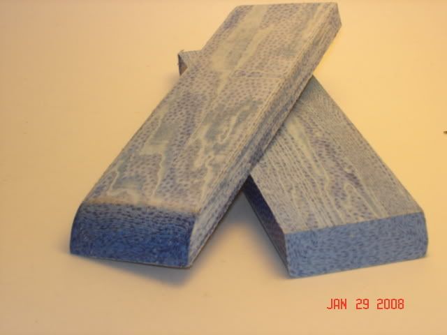 DSC01673.jpg