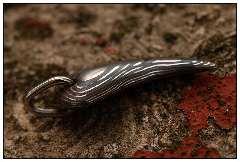 211109claw5.jpg