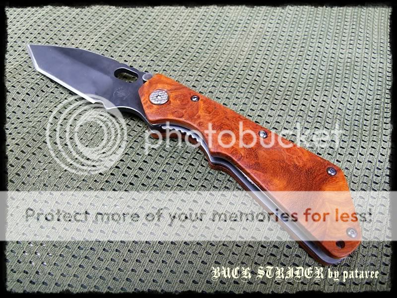 striderDSCF8962.jpg