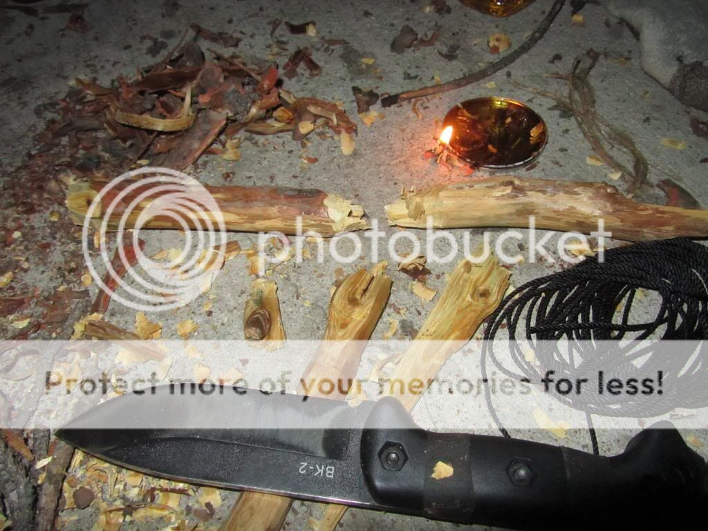 IMG_1295_zps3a9d8d36.jpg