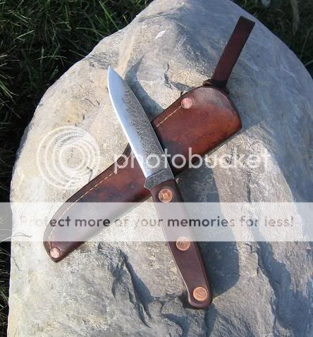 BushloreLS5.jpg