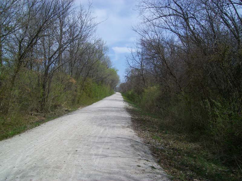 100_0687.jpg