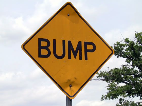 bumpsign.jpg