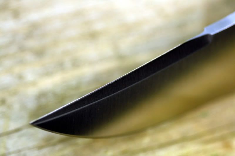 A08SFNOv3076.jpg