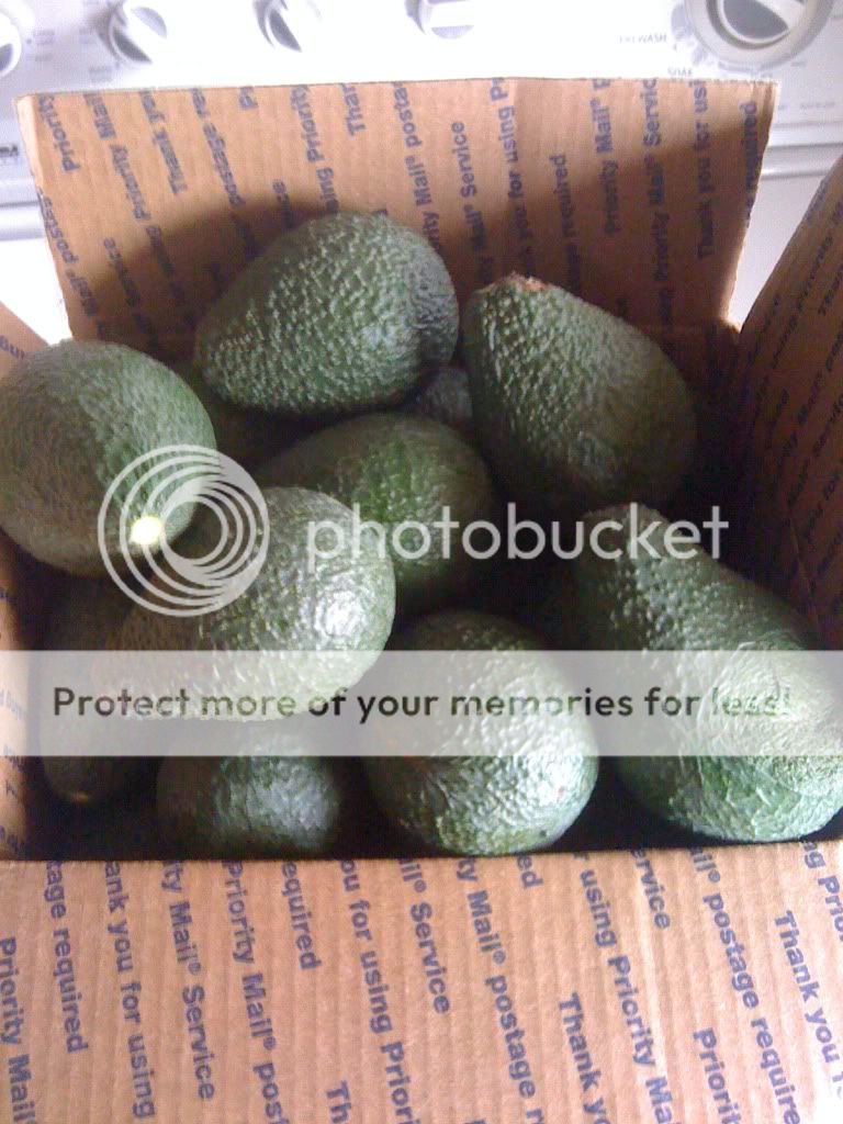 photo-3-1.jpg