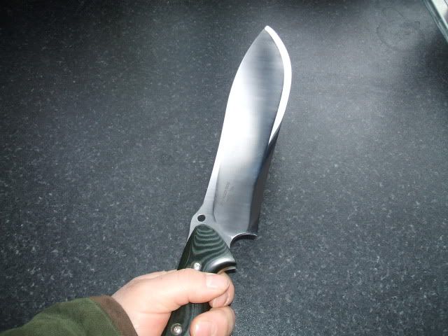 spydercoforester034.jpg