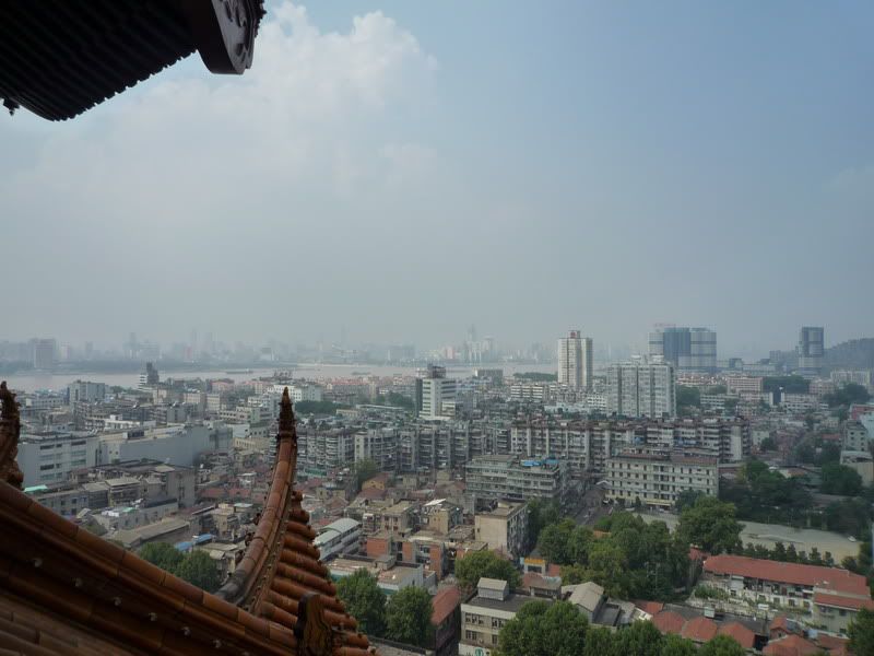 P1010478.jpg