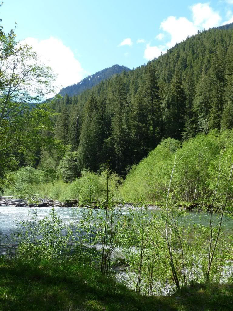 P1000245.jpg
